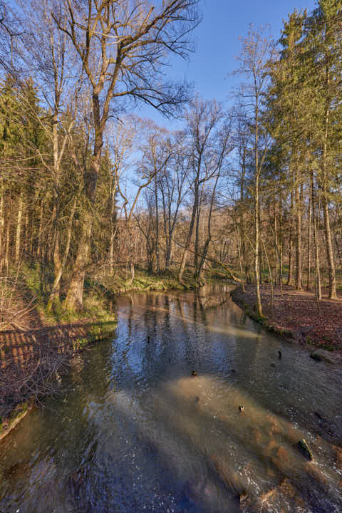 Gemeinde Eggenfelden Landkreis Rottal-Inn Gern Lichtlberger Wald (Dirschl Johann) Deutschland PAN